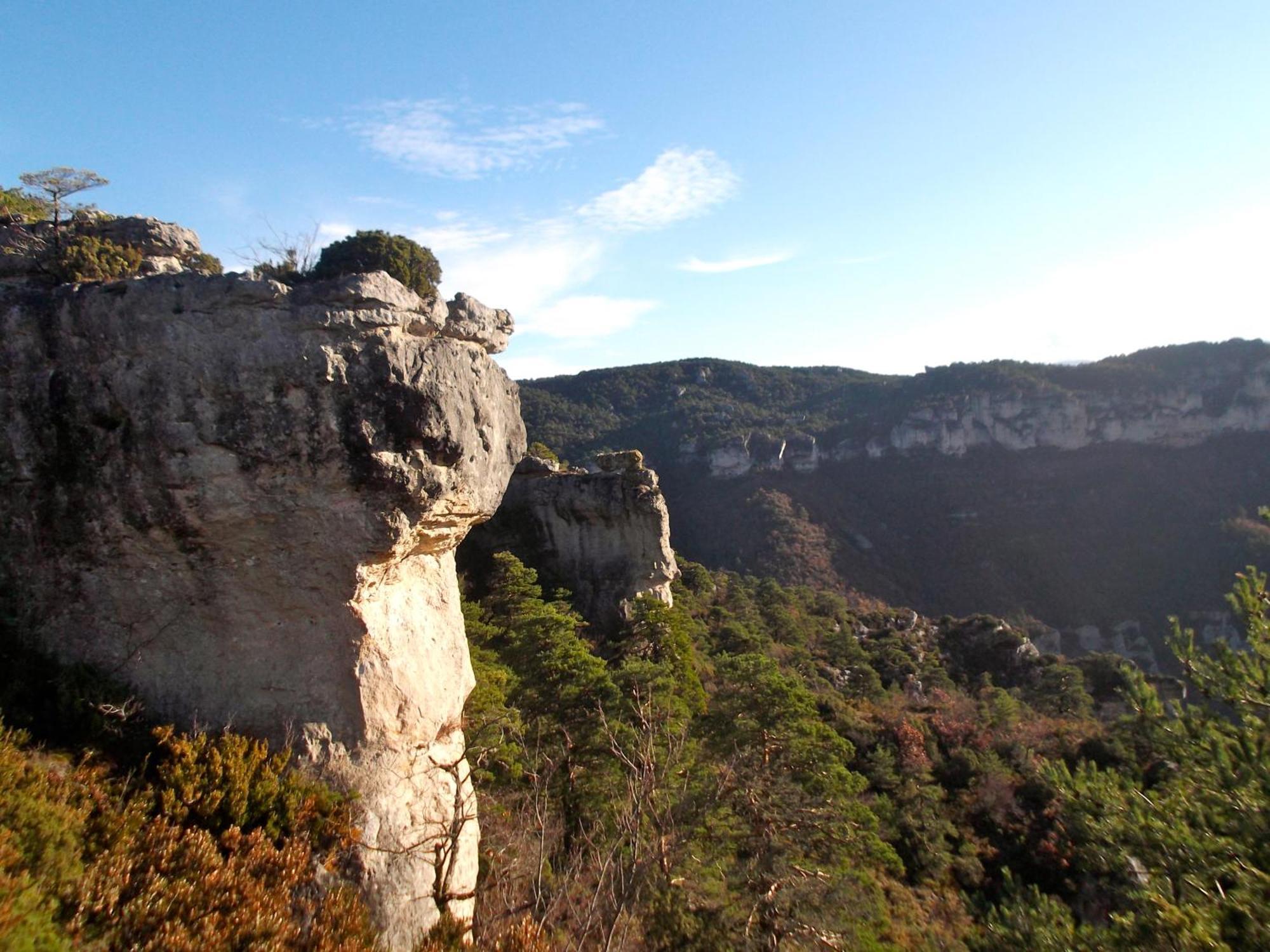 Domaine Du Vern Saint-Affrique Εξωτερικό φωτογραφία